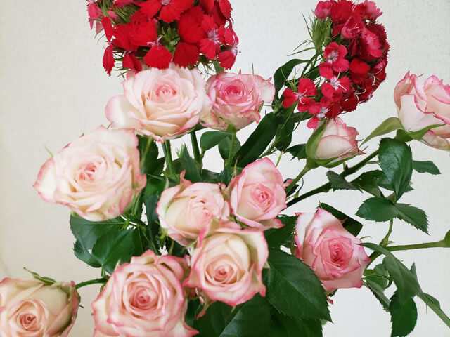 ジユーム アトリエのブログ Jiyume Atelier 荻窪美容室 美容院のblog 薔薇